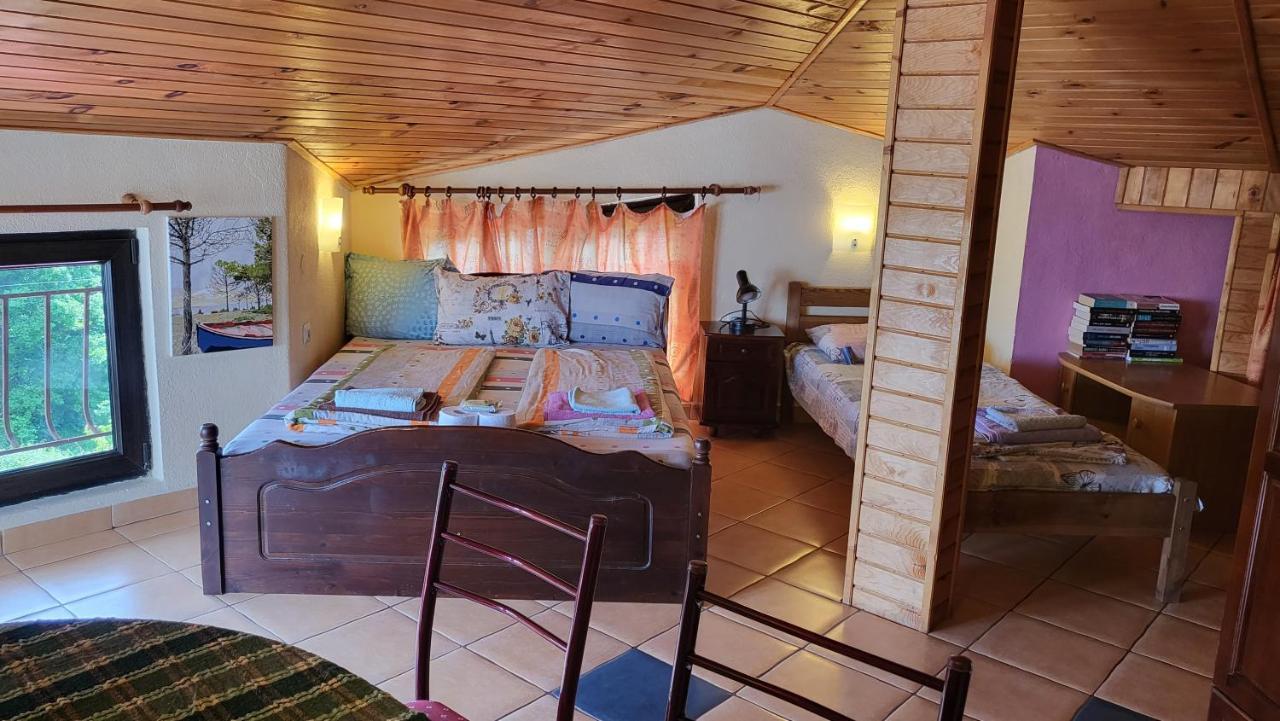 Guest House Fanny 시네모레츠 외부 사진