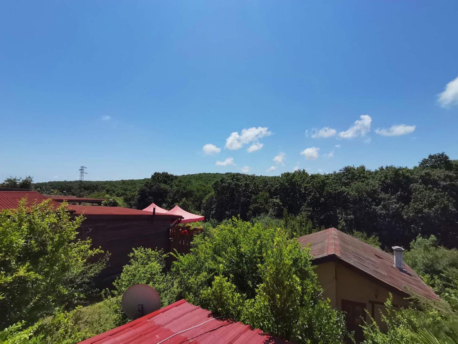 Guest House Fanny 시네모레츠 외부 사진