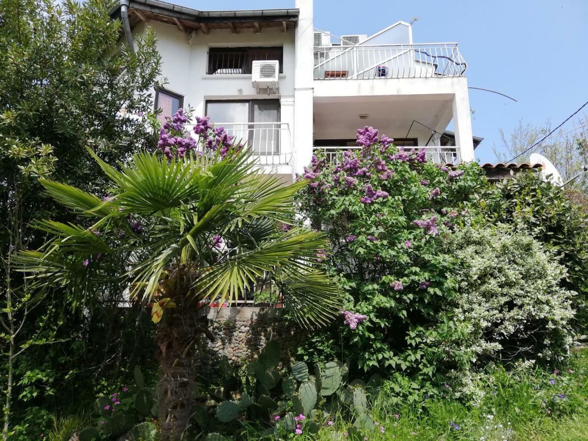 Guest House Fanny 시네모레츠 외부 사진