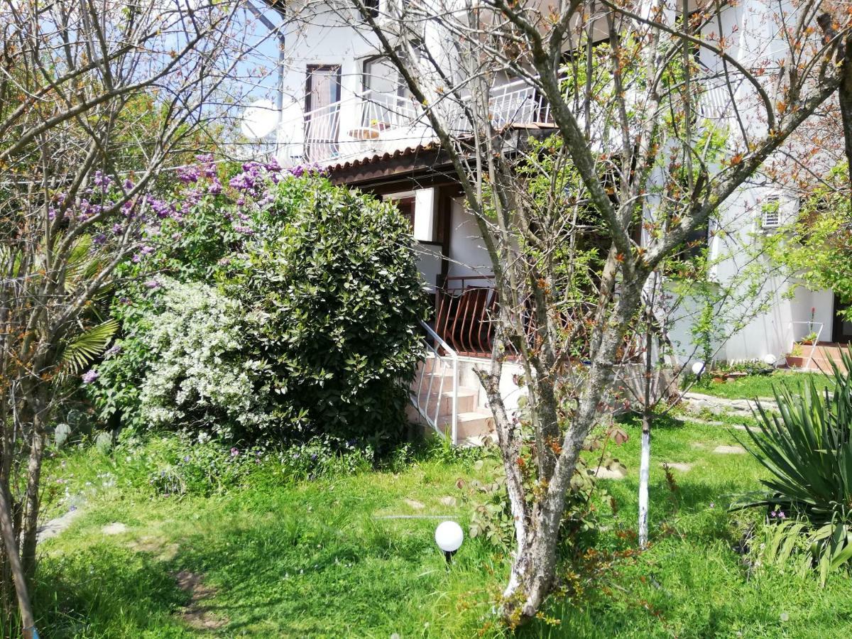 Guest House Fanny 시네모레츠 외부 사진