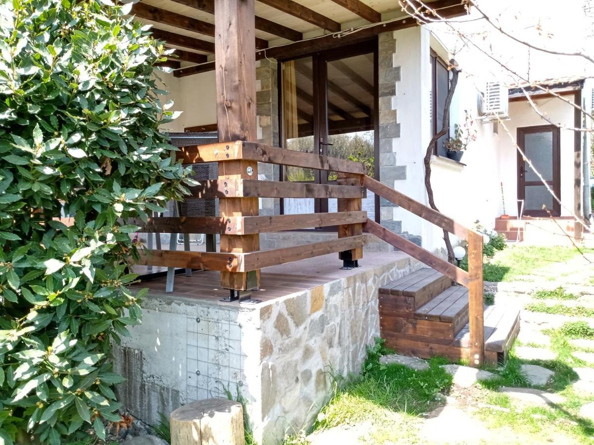 Guest House Fanny 시네모레츠 외부 사진